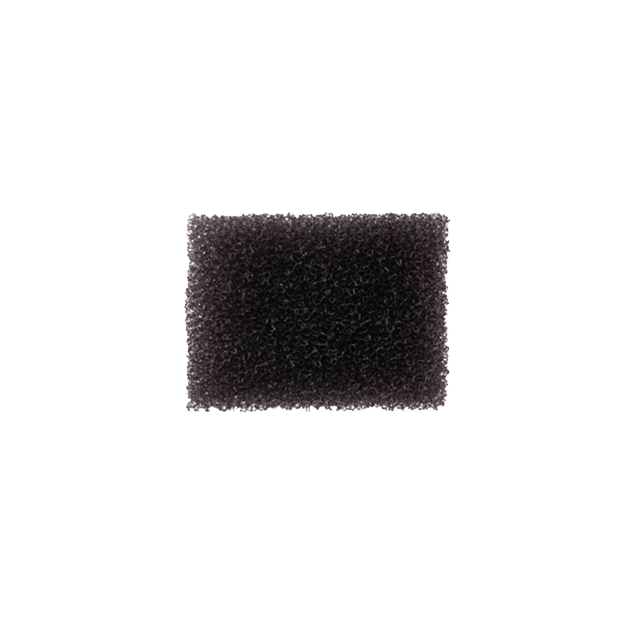 BenNye - Concealer | Najafi Cosmetics