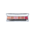 Lip Colour Palette LSP-4 Nudes Ben Nye