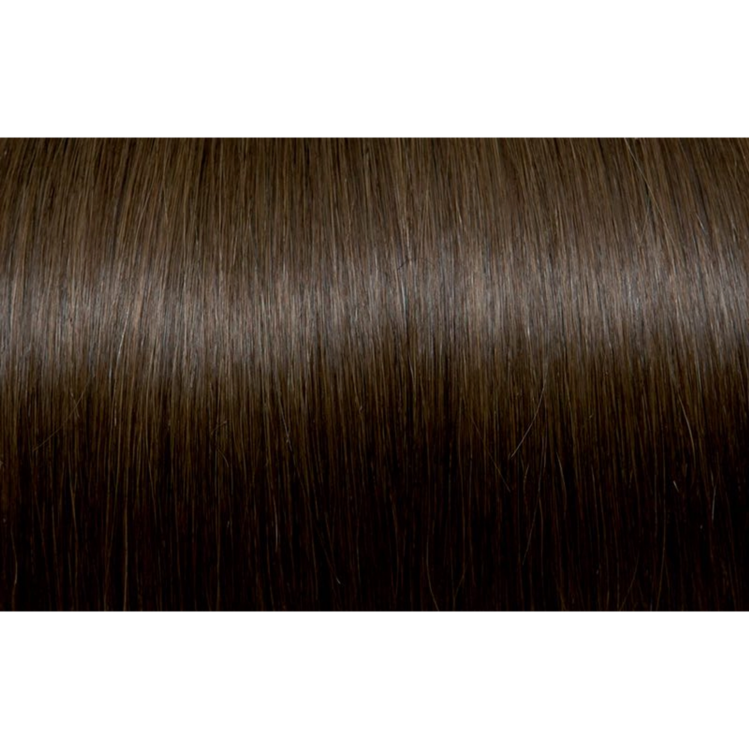 Seiseta - Hair Color | Najafi Cosmetics