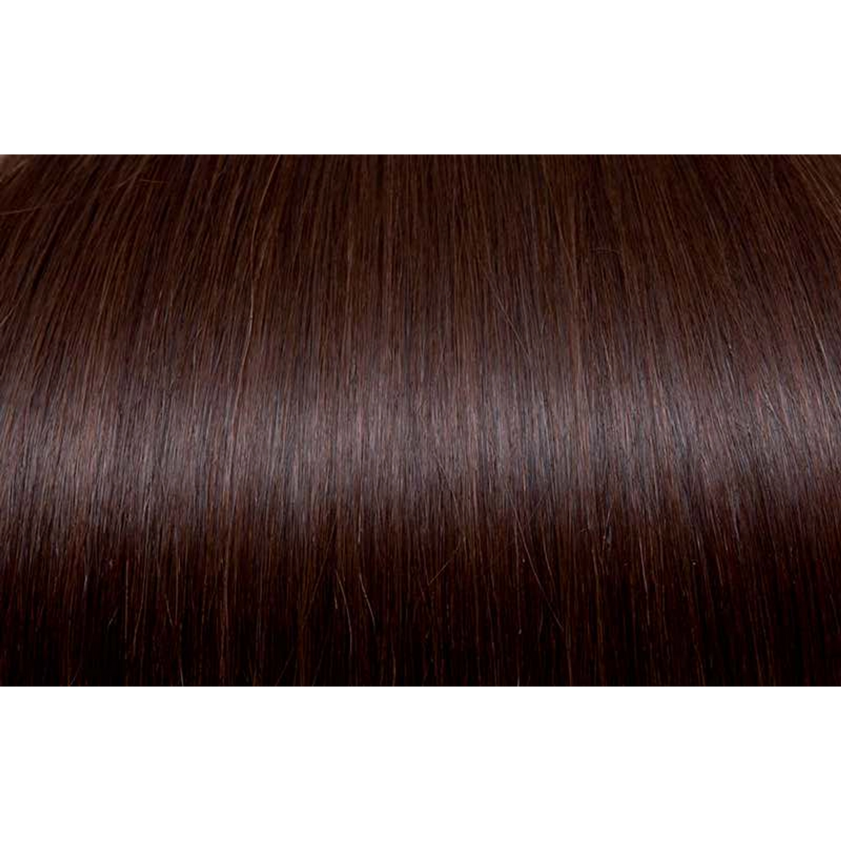 Seiseta - Hair Color | Najafi Cosmetics