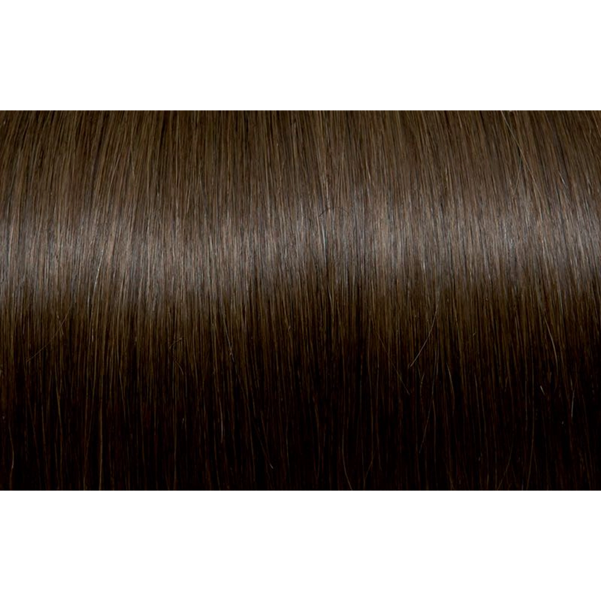 Seiseta - Hair Color | Najafi Cosmetics