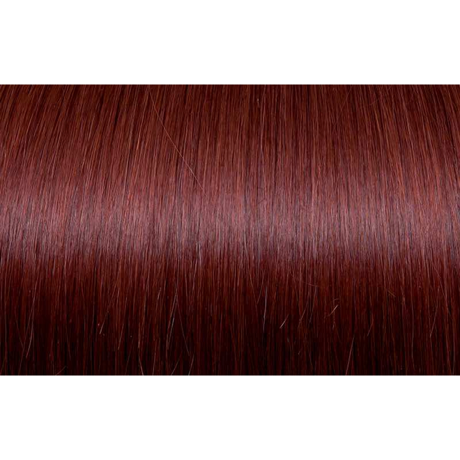 Seiseta - Hair Color | Najafi Cosmetics