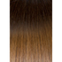 Seiseta - Hair Color | Najafi Cosmetics