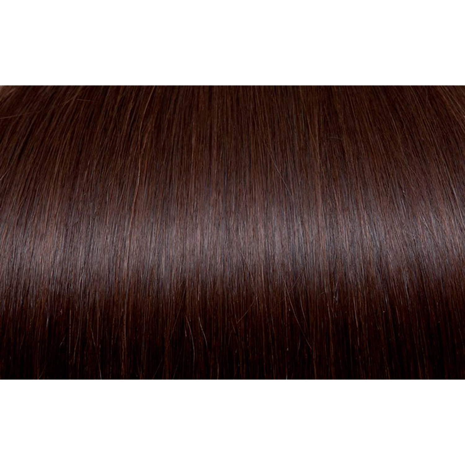 Seiseta - Hair Color | Najafi Cosmetics