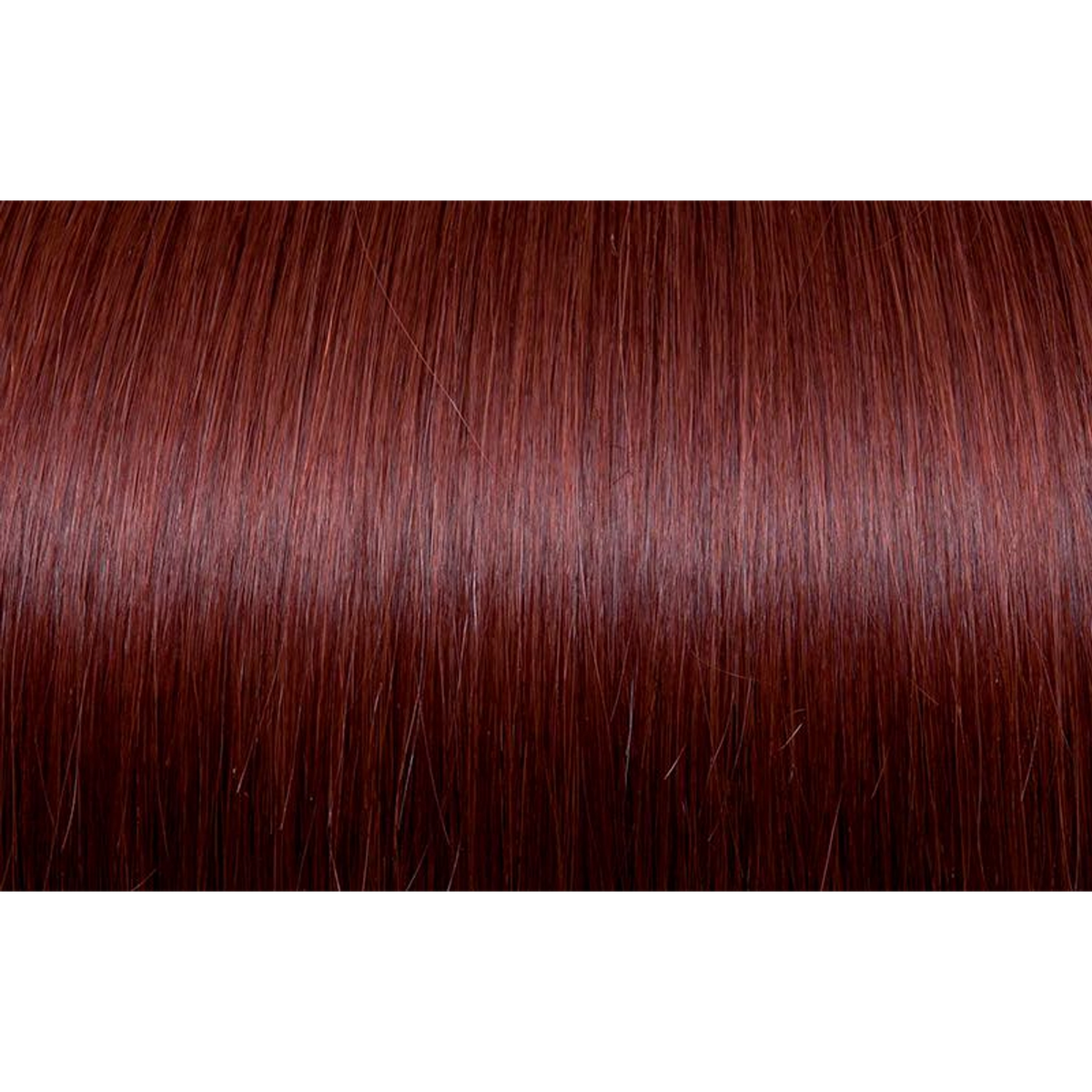 Seiseta - Hair Color | Najafi Cosmetics