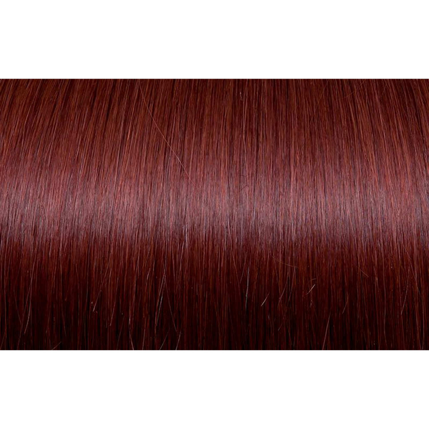 Seiseta - Hair Color | Najafi Cosmetics