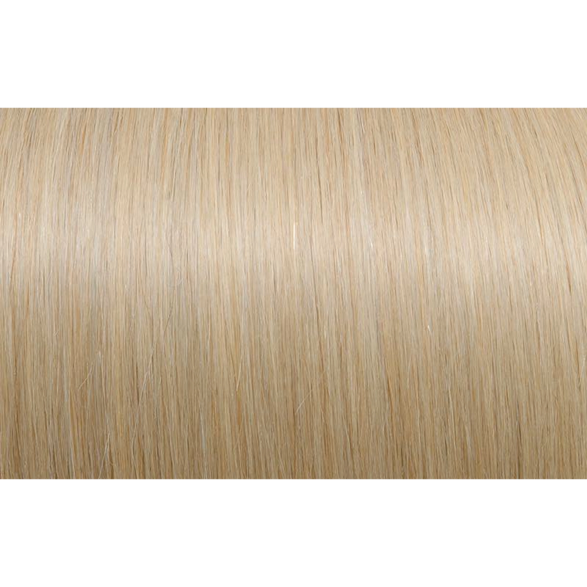 Seiseta - Hair Color | Najafi Cosmetics