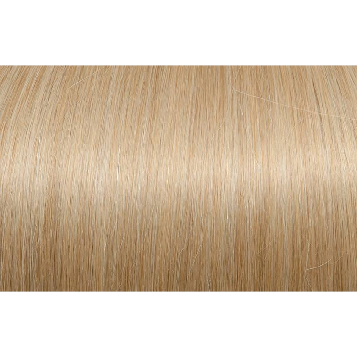 Seiseta - Hair Color | Najafi Cosmetics
