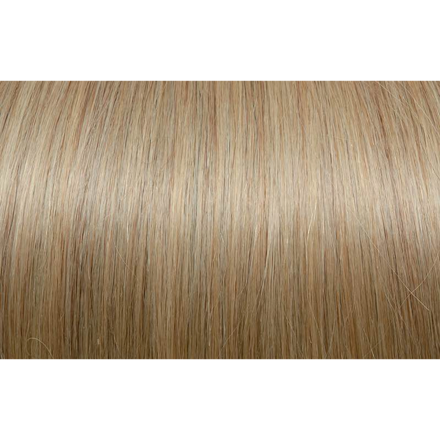 Seiseta - Hair Color | Najafi Cosmetics