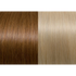 Seiseta Hair | Najafi Cosmetics