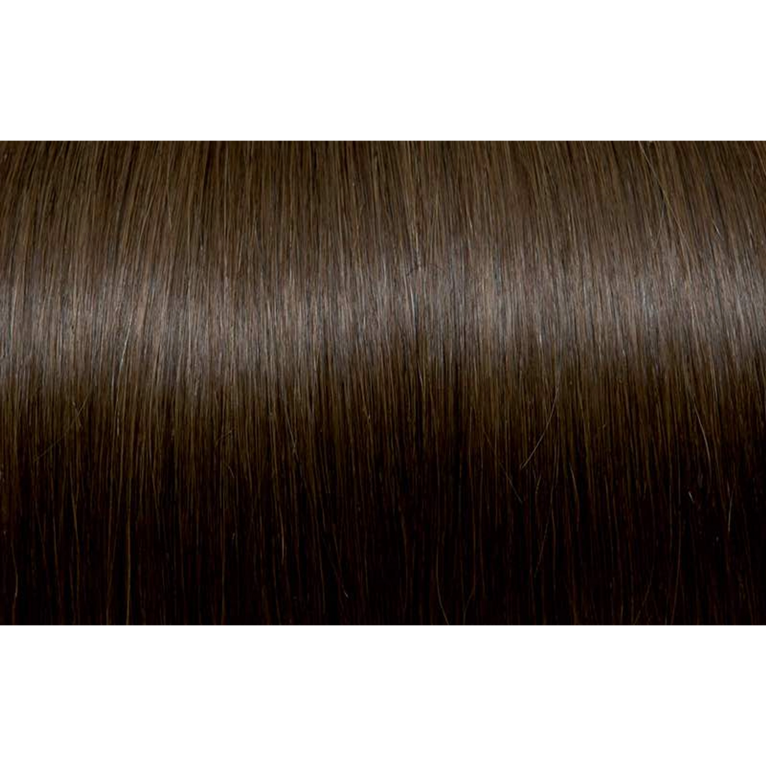 Seiseta Hair | Najafi Cosmetics