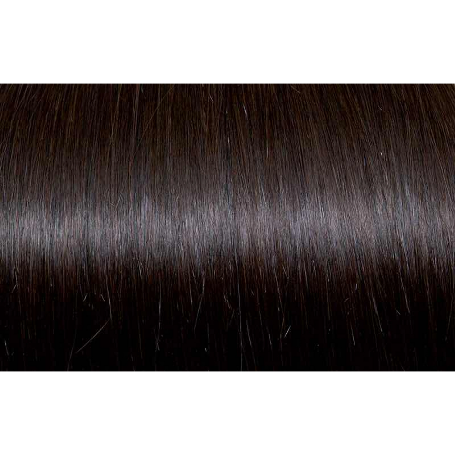 Seiseta - Hair Color | Najafi Cosmetics