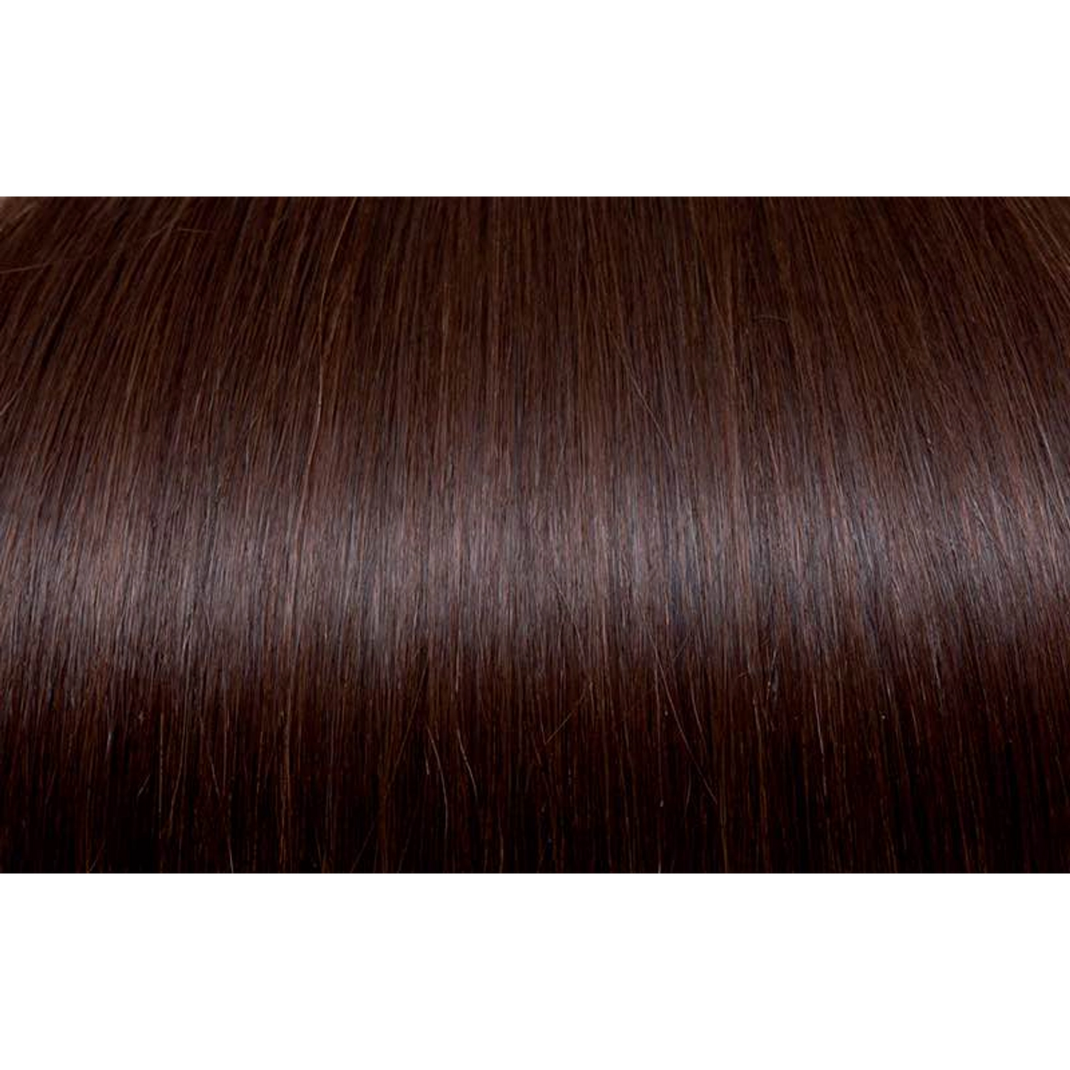 Seiseta Hair | Najafi Cosmetics