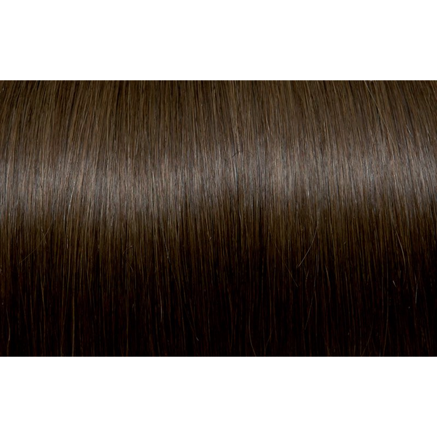Seiseta - Hair Color | Najafi Cosmetics