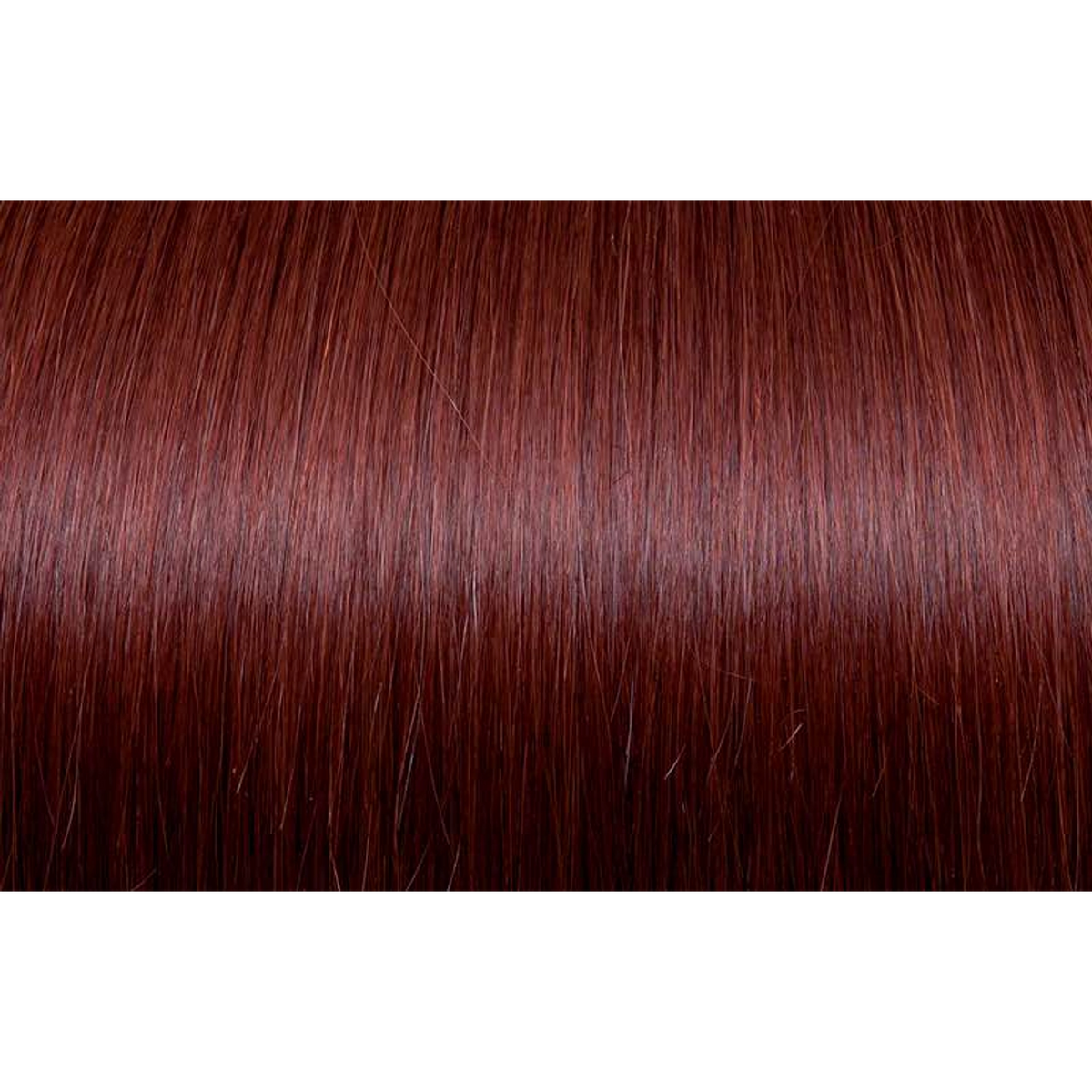Seiseta - Hair Color | Najafi Cosmetics